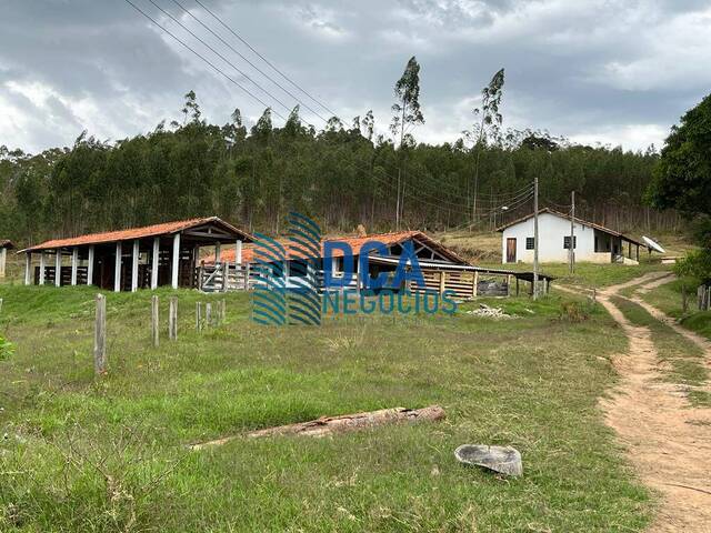#FZ0501_DCA - Fazenda para Venda em Cunha - SP - 3